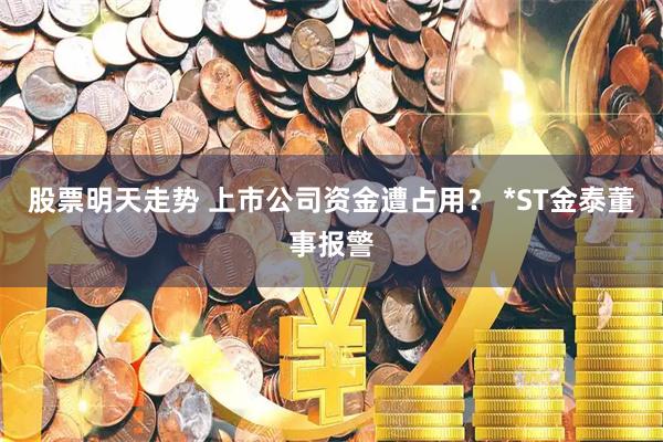 股票明天走势 上市公司资金遭占用? *ST金泰董事报警